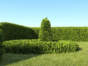 dynamic hedge 3D model