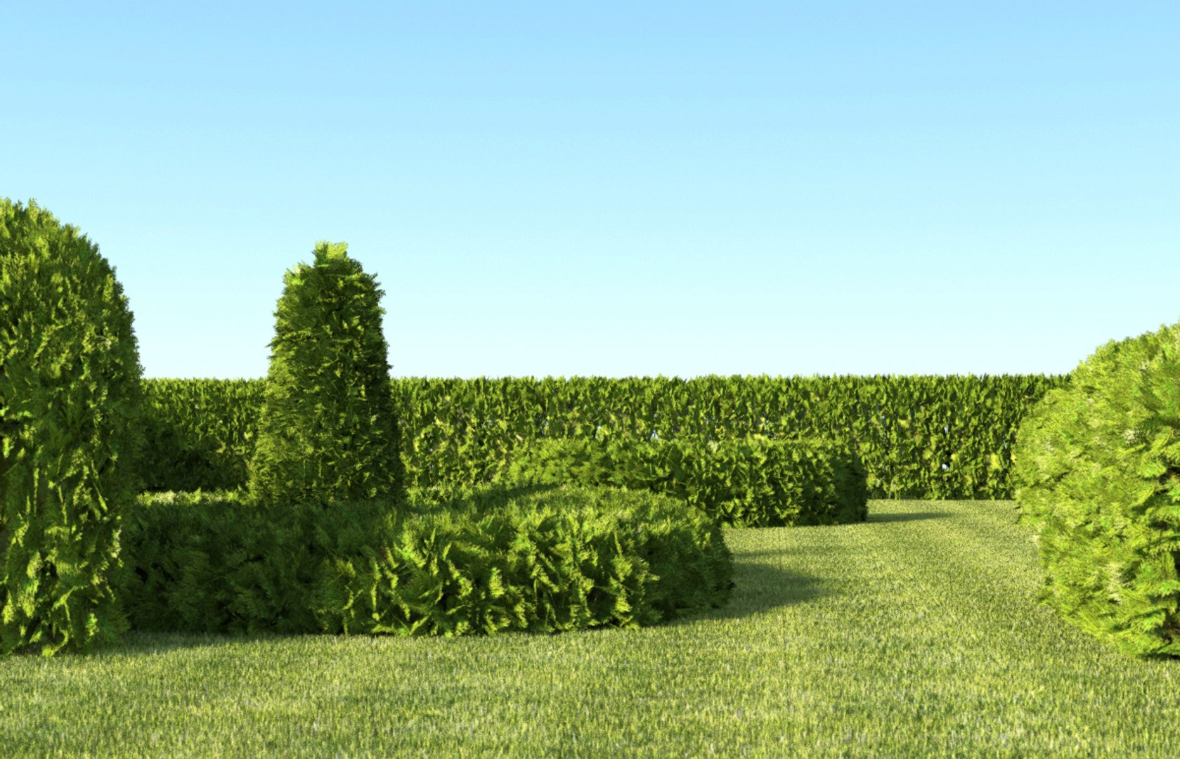 Dynamic Hedge 3D Model - TurboSquid 1201262