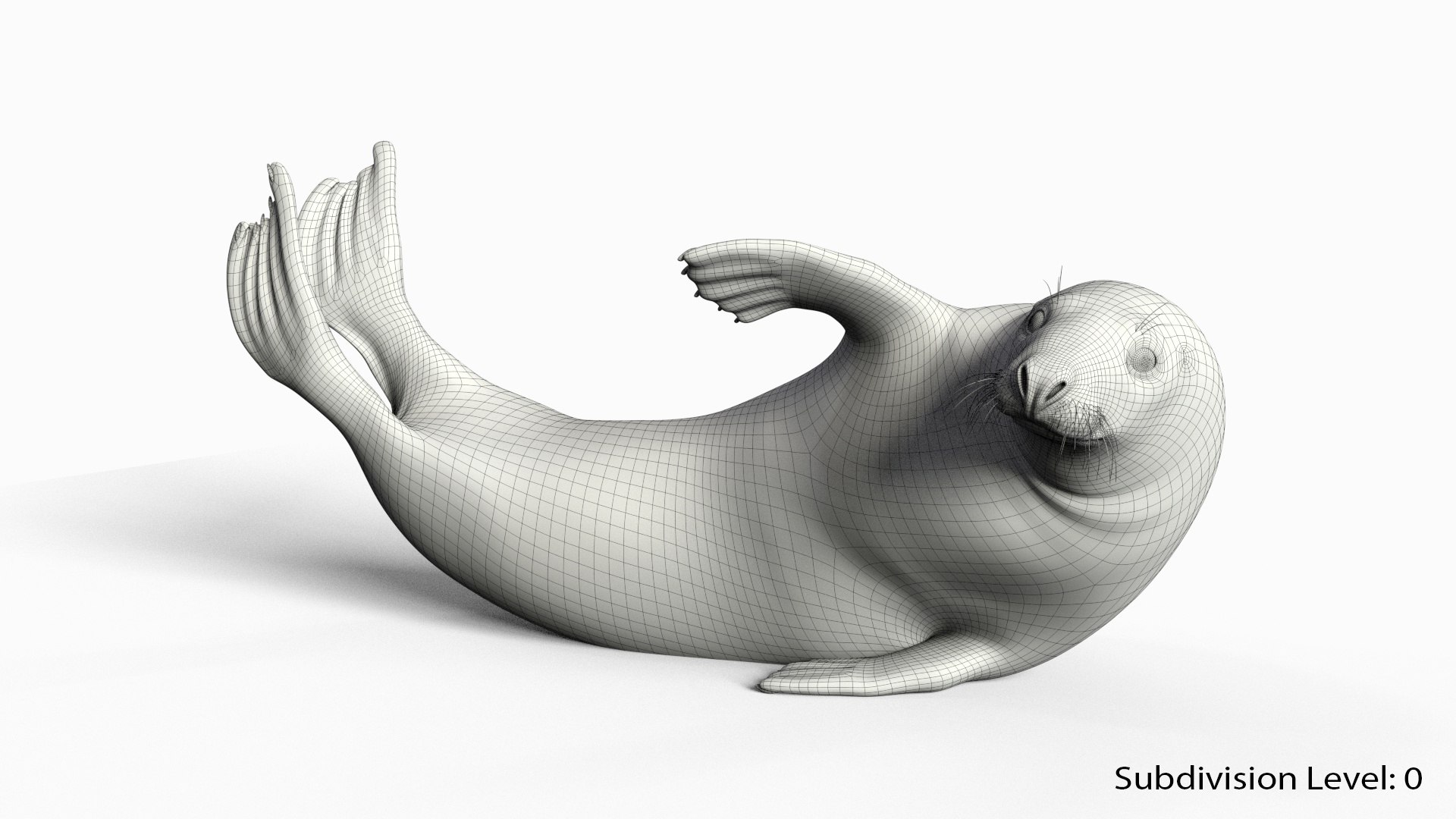 3D Grey seal Animated model - TurboSquid 2079075