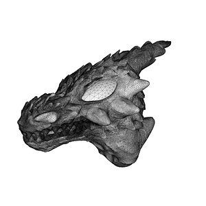 Dragon Head 3D model
