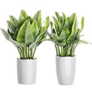 flower pack 96 3D model