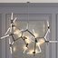 Roll and Hill Agnes Chandelier 20