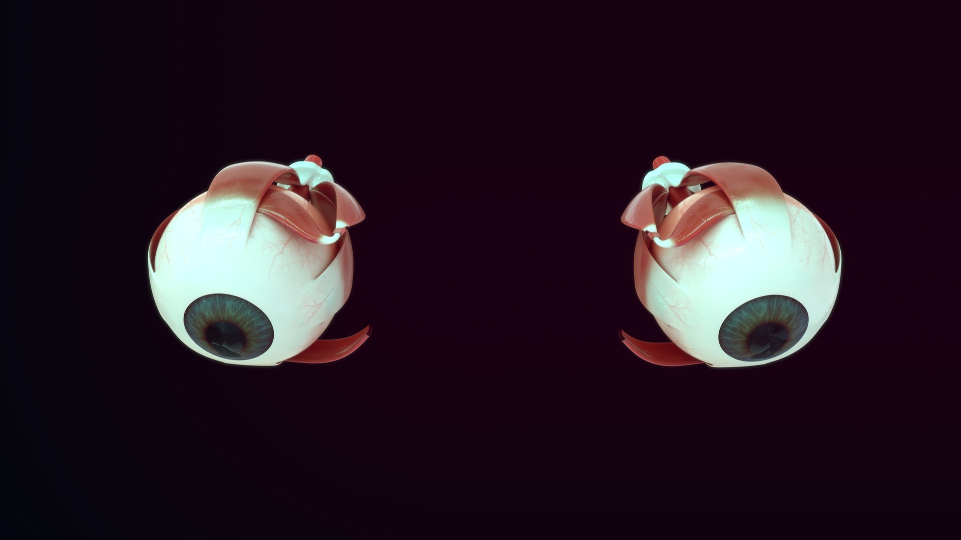 3D Model Human Eye - TurboSquid 2187105