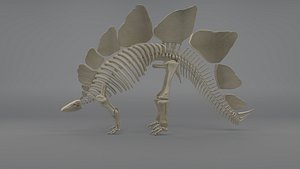 3D fossil nature animal model