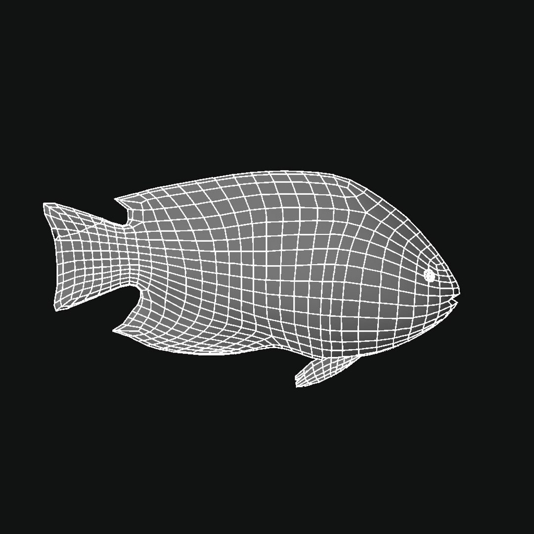 Ocean Fish 3D - TurboSquid 1244964