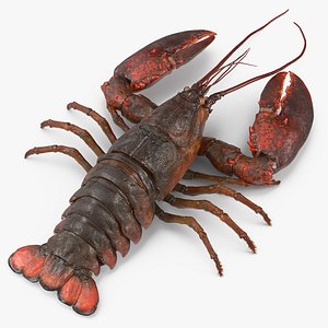 3d max lobster fur