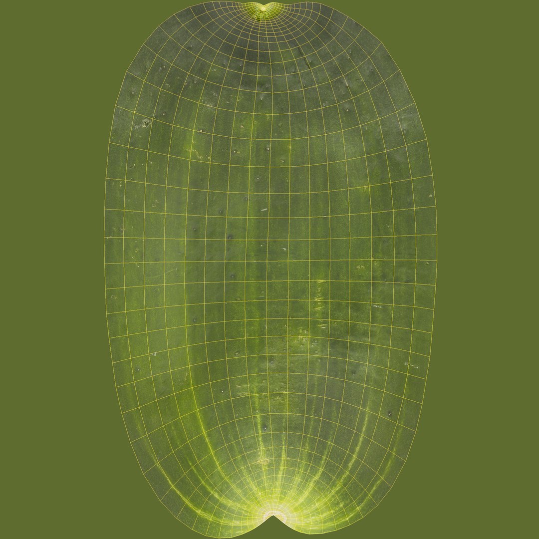 fruit vegatables crates 3D model https://p.turbosquid.com/ts-thumb/qV/asTY0m/d1DkT3dB/unwrap/png/1575985395/1920x1080/fit_q87/bc17f02f5dbe78a795e14220f21c38ea71f0636d/unwrap.jpg