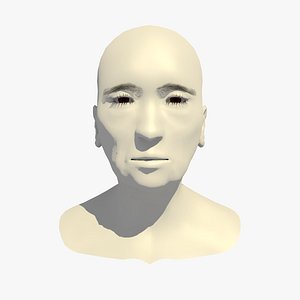 3D realistic head base mesh