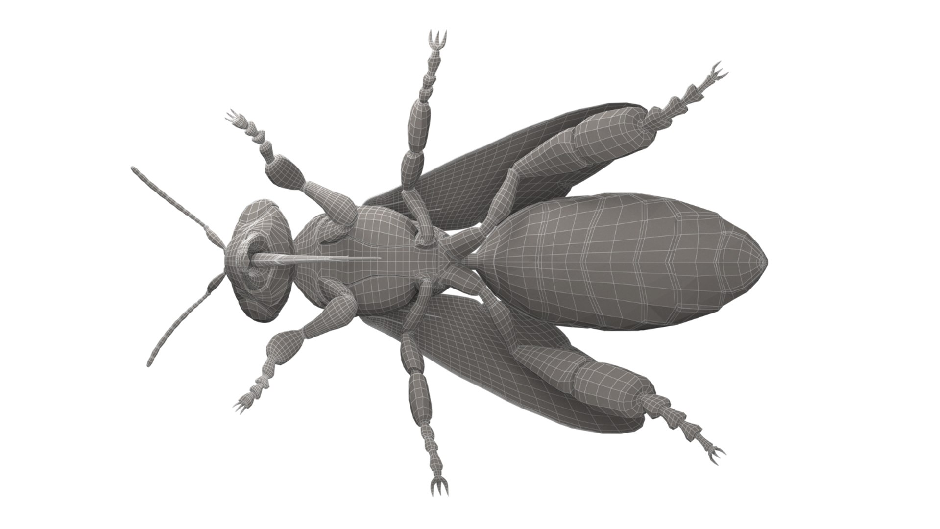 honeybee animations model https://p.turbosquid.com/ts-thumb/qV/iZAZ3W/1p2bEw62/wireframe_07/jpg/1589698198/1920x1080/fit_q87/74fe38fa7604455a7d43dd845e27507aa4bc9b60/wireframe_07.jpg