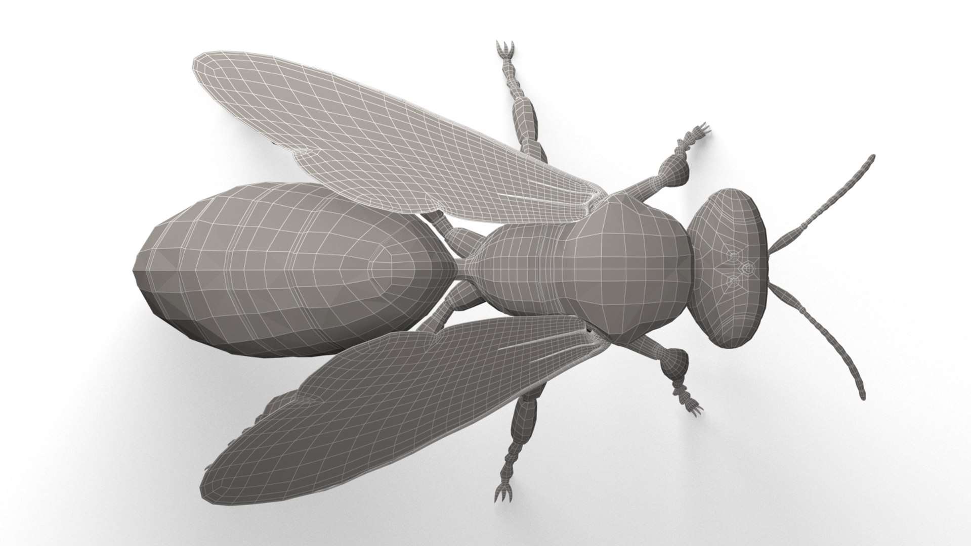 honeybee animations model https://p.turbosquid.com/ts-thumb/qV/iZAZ3W/6Q9YOHP4/wireframe_05/jpg/1589698167/1920x1080/fit_q87/59d9c9de4b386d04764d109c2a309634b12befc9/wireframe_05.jpg