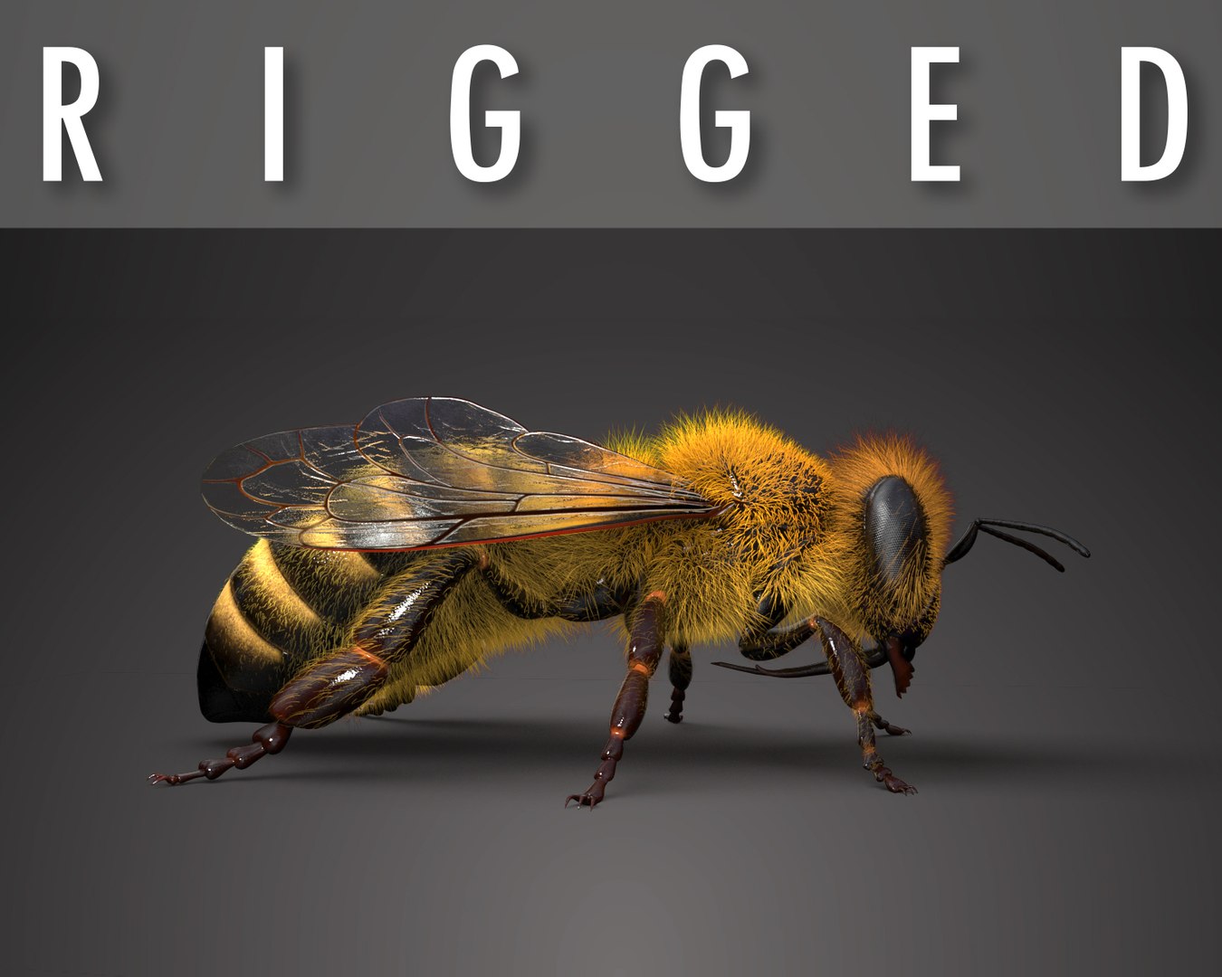 honeybee animations model https://p.turbosquid.com/ts-thumb/qV/iZAZ3W/9yRPJ6H3/hero/jpg/1589697749/1920x1080/fit_q87/8ec5b713e17bf3ad1433011c2e281e566ea409c5/hero.jpg