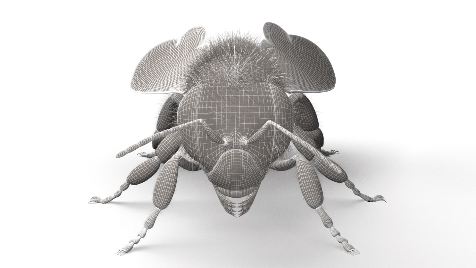 honeybee animations model https://p.turbosquid.com/ts-thumb/qV/iZAZ3W/Kxkg2TMF/wireframe_02/jpg/1589698100/1920x1080/fit_q87/c0d3340b8ee2a3988c314f229c7e46b1e7dc9e85/wireframe_02.jpg