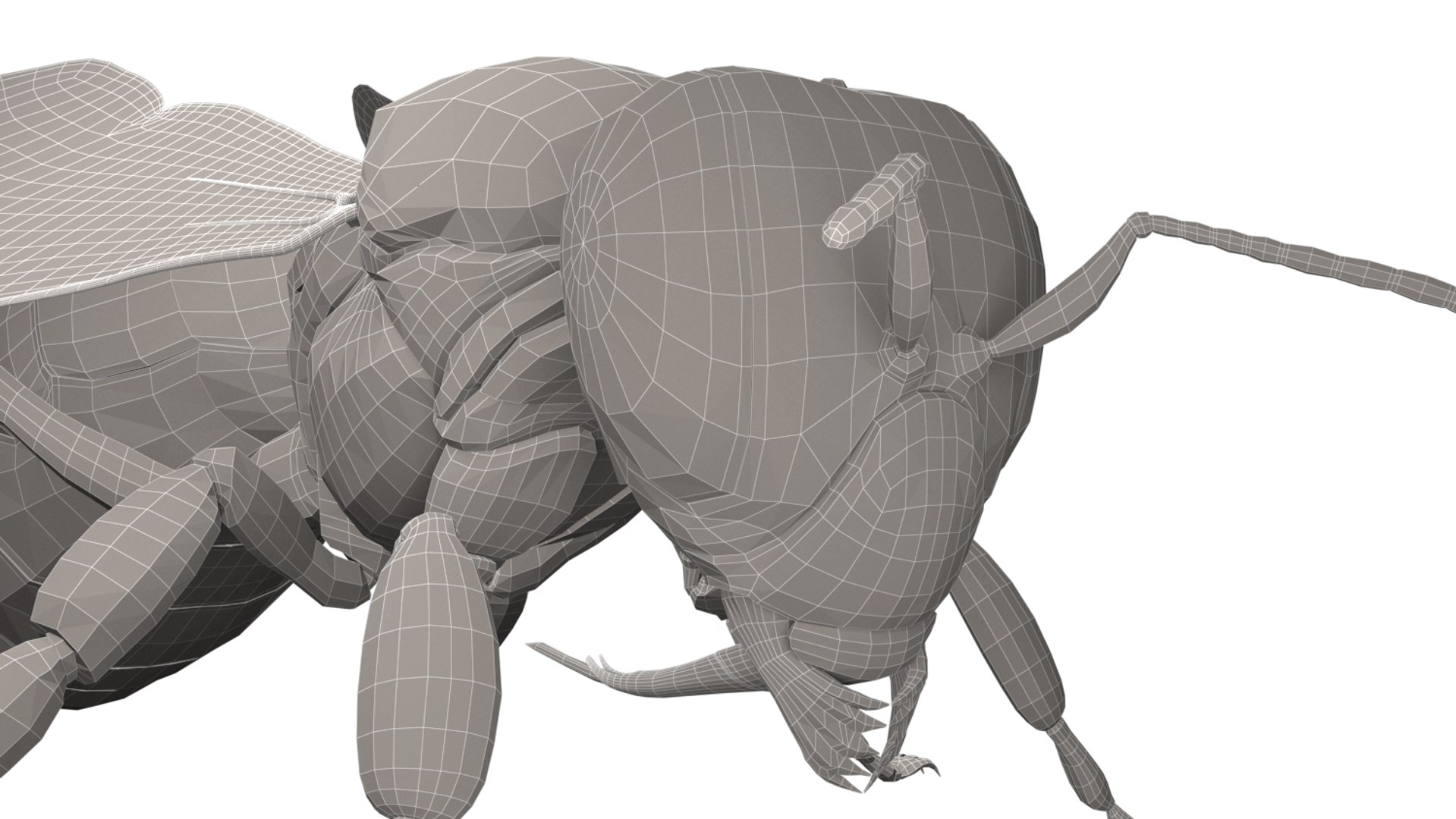 honeybee animations model https://p.turbosquid.com/ts-thumb/qV/iZAZ3W/e5KFqyZz/wireframe_06/jpg/1589698181/1920x1080/fit_q87/9a5d0318dbcc65c80039193ab3d18c01f2be59e9/wireframe_06.jpg
