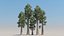 conifer cypress trees 40 3D model