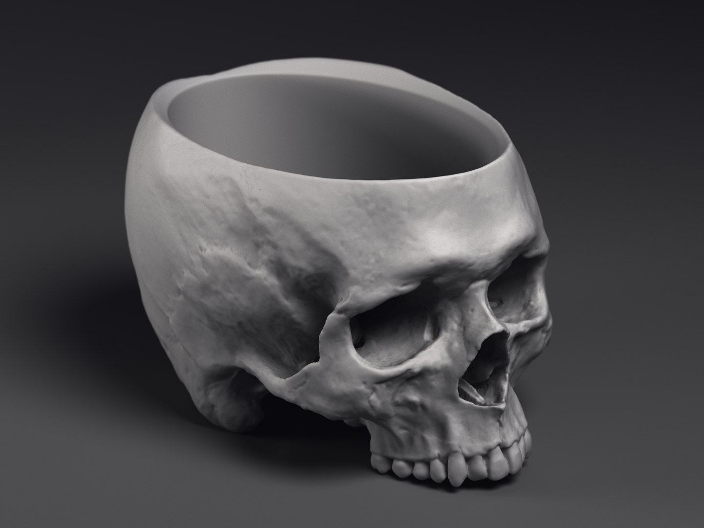 3D Skull Flower Pot https://p.turbosquid.com/ts-thumb/qV/vhyUi1/2G/macetocraneo_0000/jpg/1648061795/1920x1080/fit_q87/f900f76bfff1d937f63f0e633bd090c08591245e/macetocraneo_0000.jpg