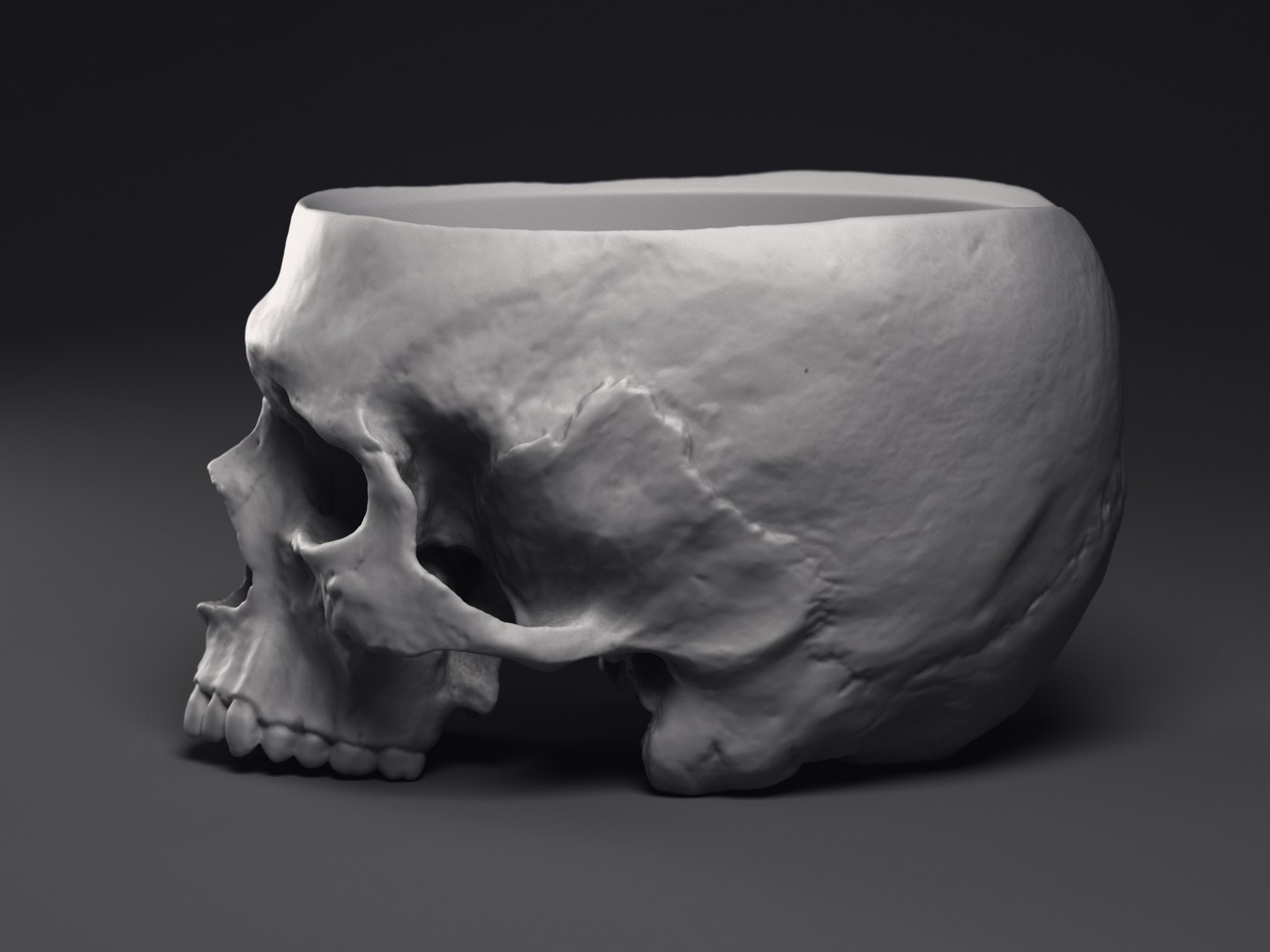 3D Skull Flower Pot https://p.turbosquid.com/ts-thumb/qV/vhyUi1/Qf/macetocraneo_0004/jpg/1648061797/1920x1080/fit_q87/9bbc89c21ee5df9bbc75ba8feb58b80fb6abec38/macetocraneo_0004.jpg
