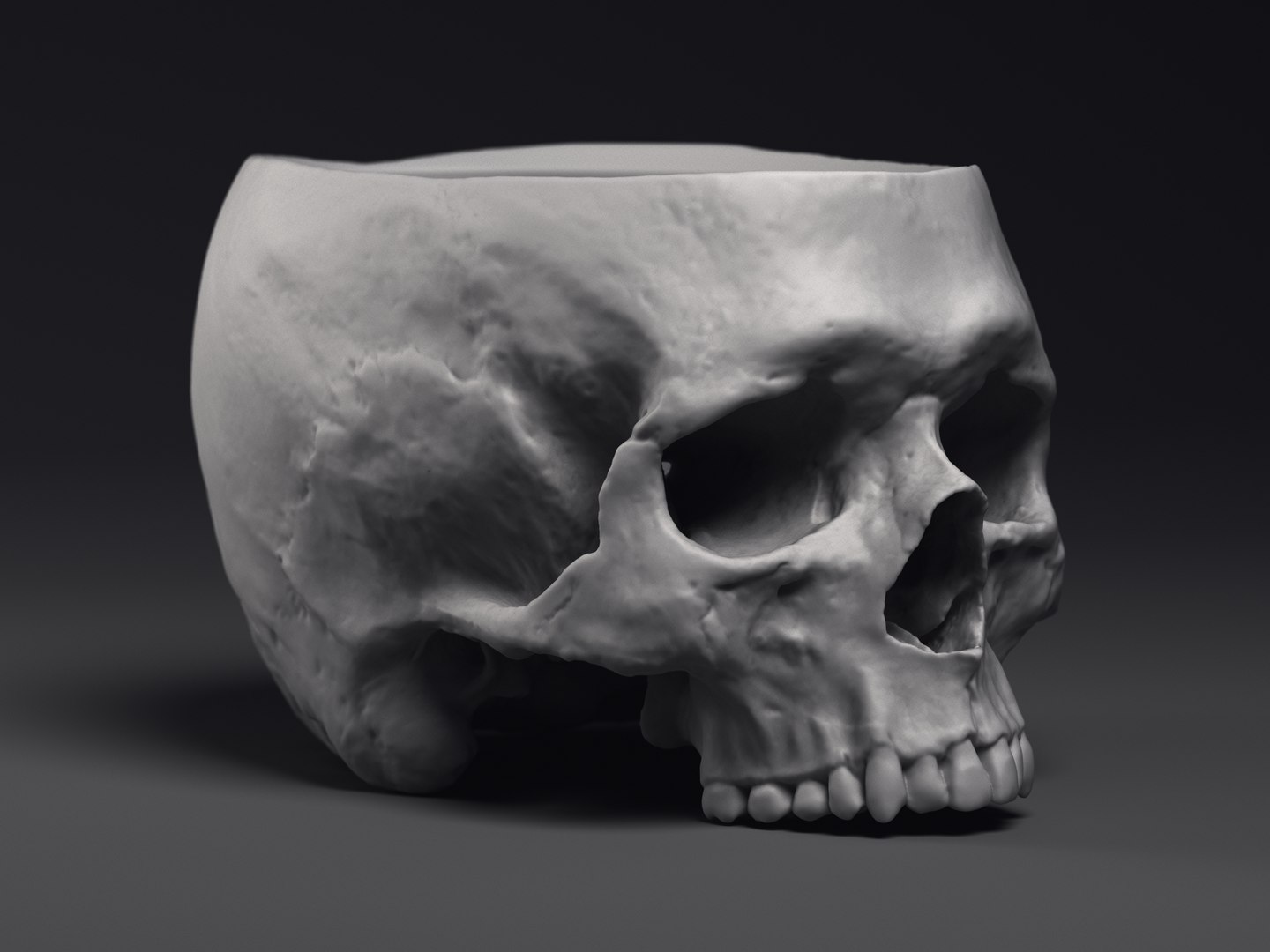 3D Skull Flower Pot https://p.turbosquid.com/ts-thumb/qV/vhyUi1/Yr/macetocraneo_0001/jpg/1648061796/1920x1080/fit_q87/8d9ace01c2a295e1dcf5c5021ddae53152d9c41c/macetocraneo_0001.jpg