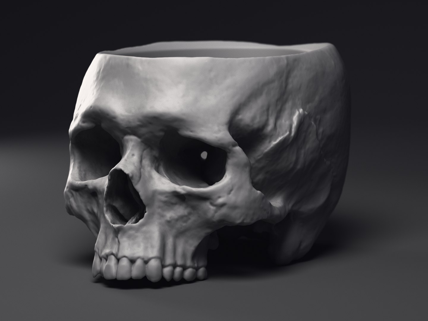 3D Skull Flower Pot https://p.turbosquid.com/ts-thumb/qV/vhyUi1/ae/macetocraneo_0003/jpg/1648061797/1920x1080/fit_q87/e34a18a36b7ce2152f584b93e8f5ac99f7a42c2a/macetocraneo_0003.jpg
