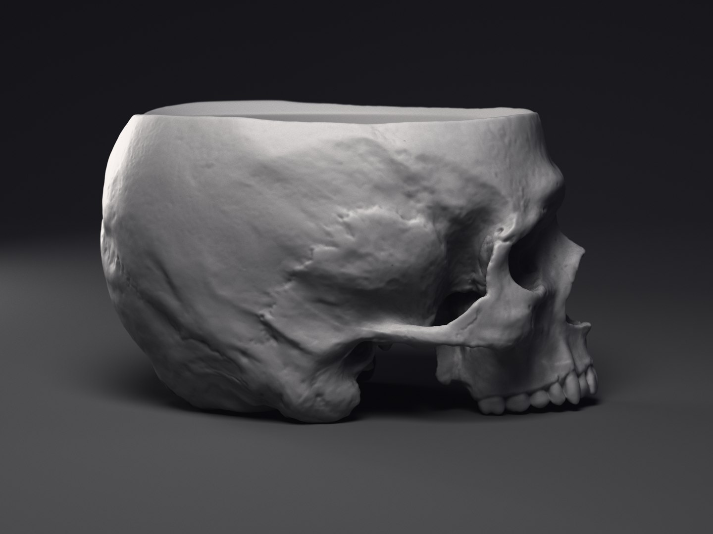 3D Skull Flower Pot https://p.turbosquid.com/ts-thumb/qV/vhyUi1/qX/macetocraneo_0005/jpg/1648061797/1920x1080/fit_q87/dc34f5892cd439d0573ae6df162a566e4534db7a/macetocraneo_0005.jpg
