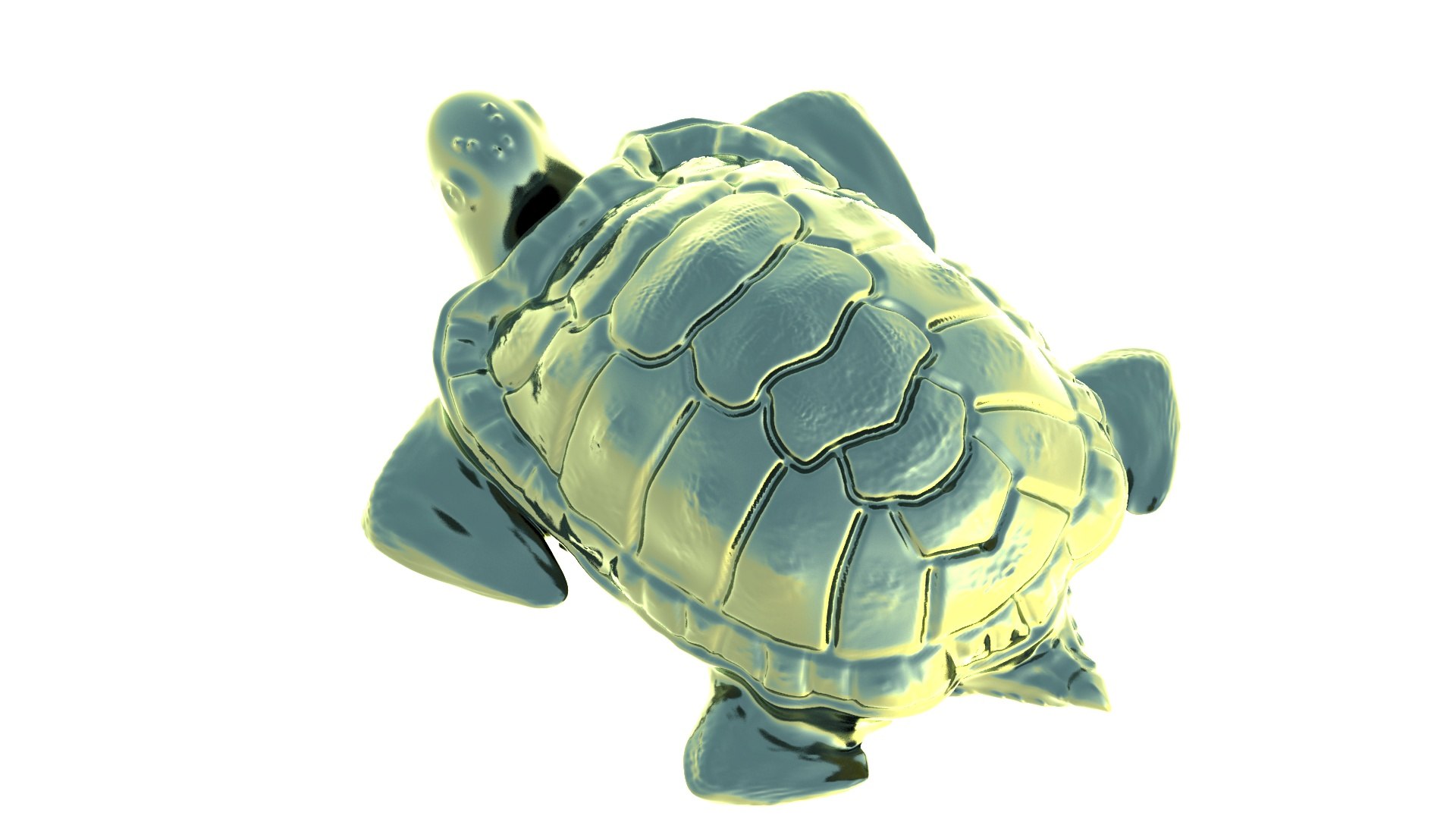 Turtle Print 3d Obj