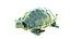 Turtle 3d print