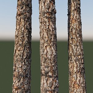 8k material bark Pine wood (vray, seamless texture)