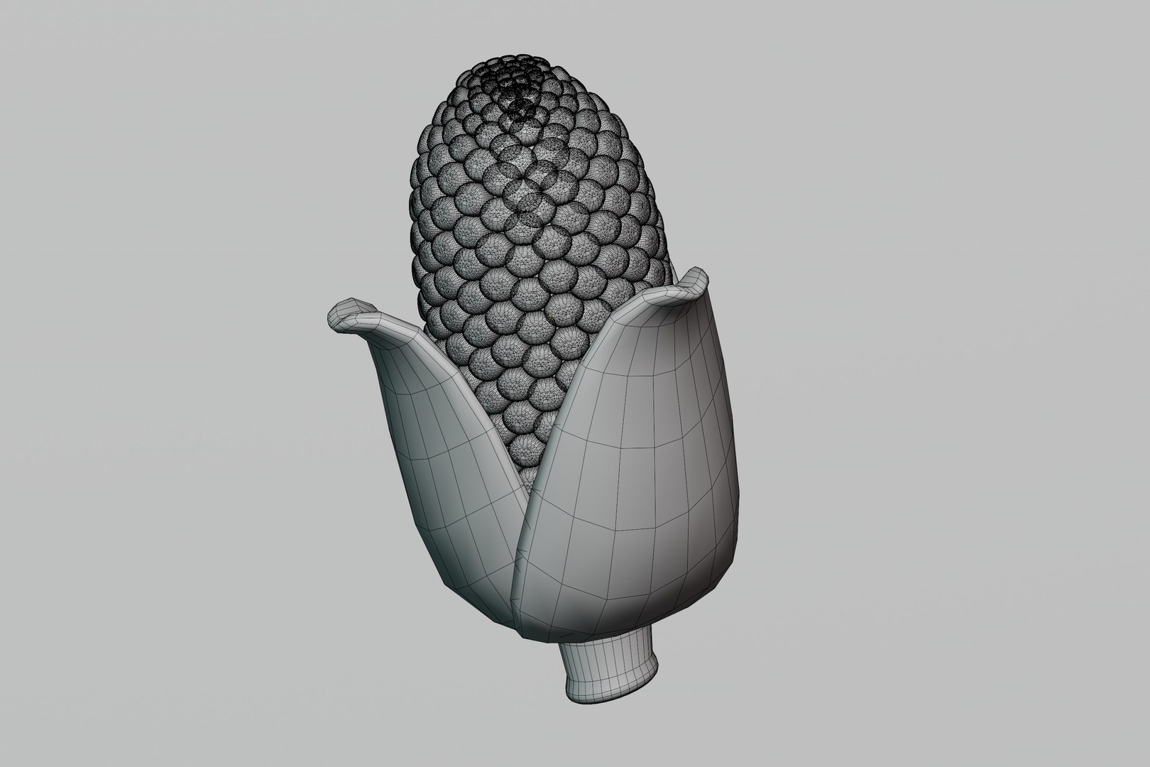 Corn 3d Model 3D - TurboSquid 2460541