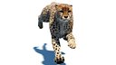 Animated Cheetah Fur