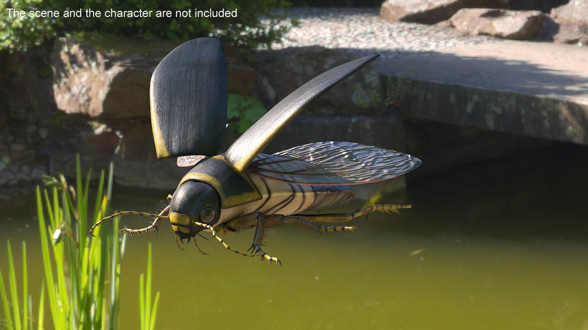 3D Insect Water Beetle Brown Rigged for Cinema 4D model https://p.turbosquid.com/ts-thumb/qW/JDxyjw/Ap/insect_water_beetle_brown_rigged_006/jpg/1732657059/1920x1080/fit_q87/e323e51264de13dcf3f2a0ce24424c403f051f5d/insect_water_beetle_brown_rigged_006.jpg