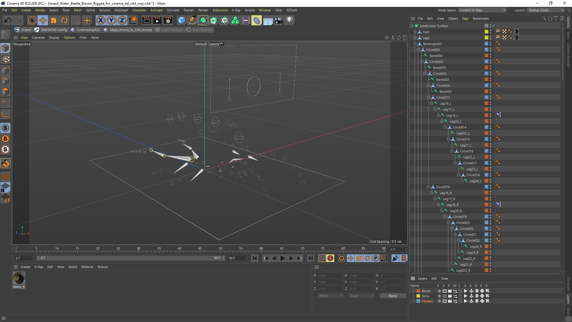3D Insect Water Beetle Brown Rigged for Cinema 4D model https://p.turbosquid.com/ts-thumb/qW/JDxyjw/PS/insect_water_beetle_brown_rigged_for_cinema_4d_004/jpg/1732657267/1920x1080/fit_q87/731e47536123b748375fb18daa441ef99c58504d/insect_water_beetle_brown_rigged_for_cinema_4d_004.jpg