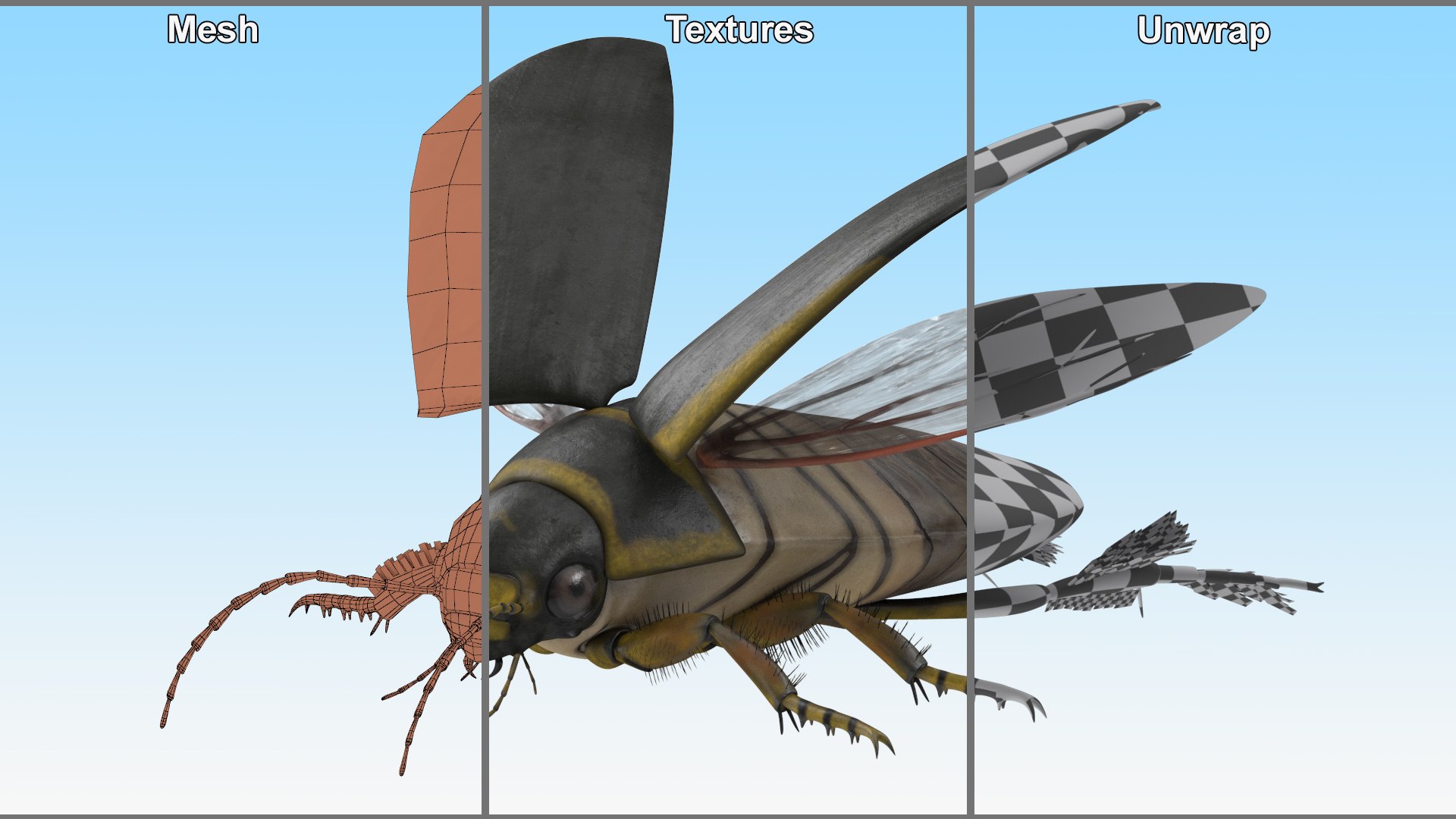 3D Insect Water Beetle Brown Rigged for Cinema 4D model https://p.turbosquid.com/ts-thumb/qW/JDxyjw/Pa/insect_water_beetle_brown_rigged_024/jpg/1732657152/1920x1080/fit_q87/6388236168338f0cf90dd5021f6e9d42ce5af676/insect_water_beetle_brown_rigged_024.jpg