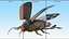 Insect Water Beetle Brown Rigged for Cinema 4D