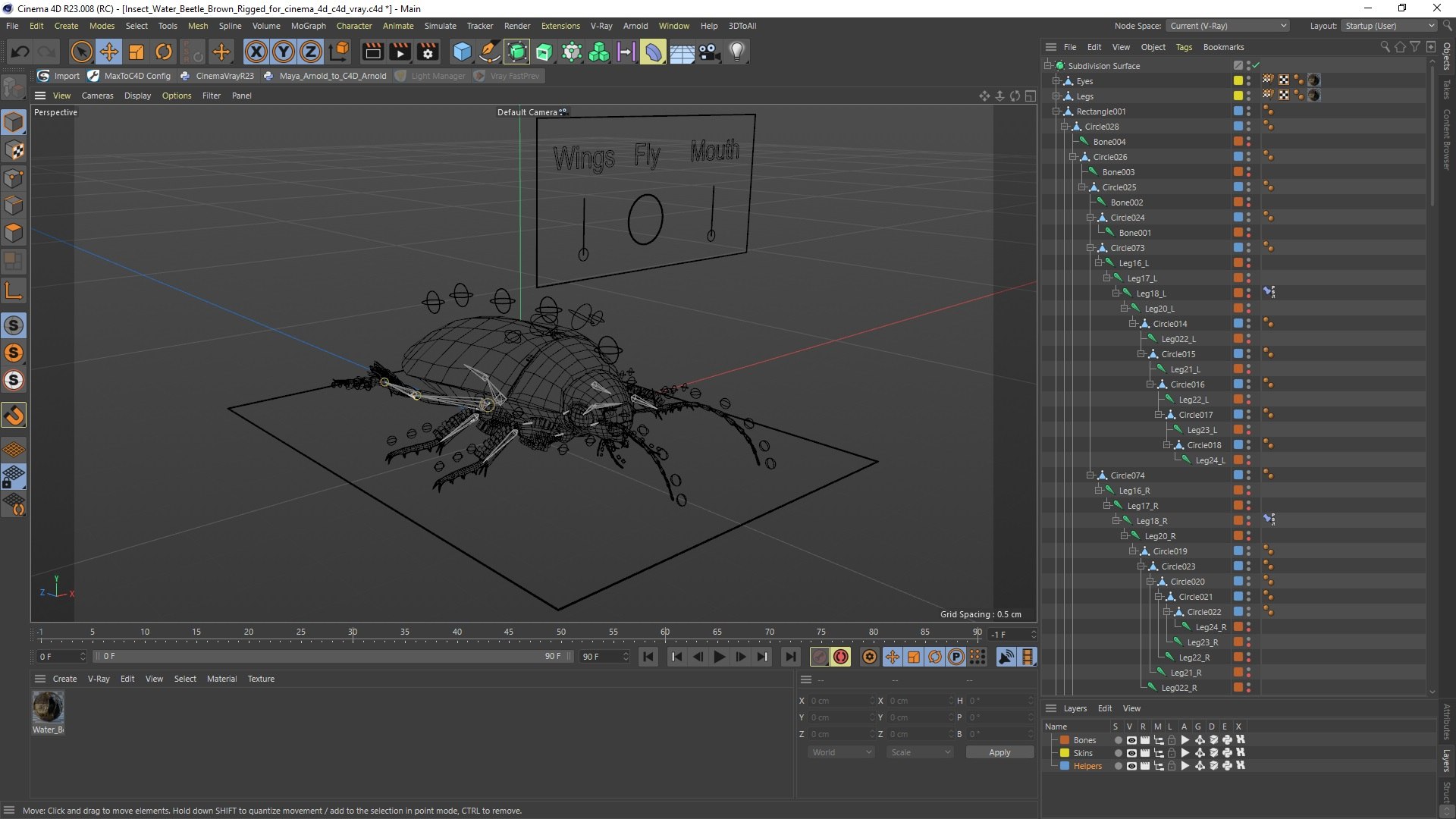 3D Insect Water Beetle Brown Rigged for Cinema 4D model https://p.turbosquid.com/ts-thumb/qW/JDxyjw/Ri/insect_water_beetle_brown_rigged_for_cinema_4d_005/jpg/1732657272/1920x1080/fit_q87/c12daef1cefd2cbb7bfdffe2b6dece735df0a68e/insect_water_beetle_brown_rigged_for_cinema_4d_005.jpg