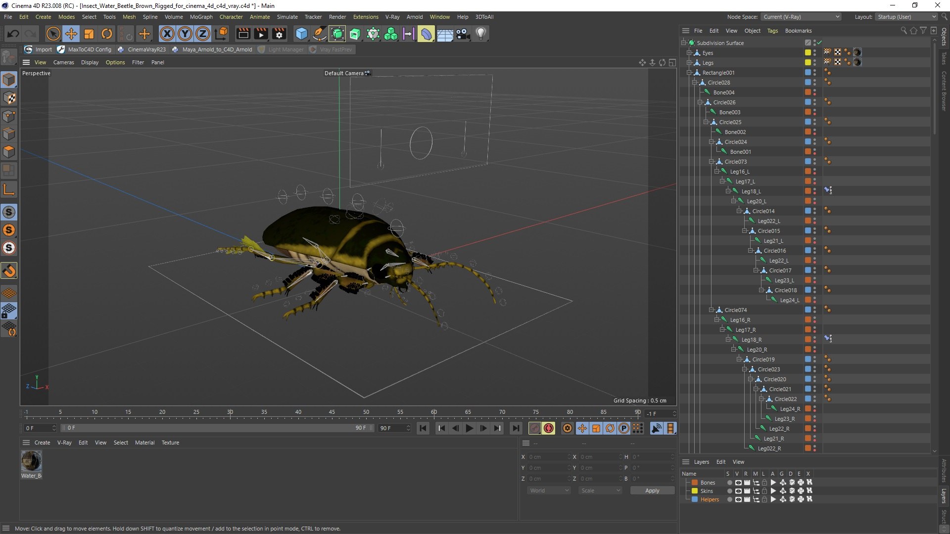 3D Insect Water Beetle Brown Rigged for Cinema 4D model https://p.turbosquid.com/ts-thumb/qW/JDxyjw/sT/insect_water_beetle_brown_rigged_for_cinema_4d_003/jpg/1732657262/1920x1080/fit_q87/823757c879940eabd16db95dae994d249f7d56f9/insect_water_beetle_brown_rigged_for_cinema_4d_003.jpg