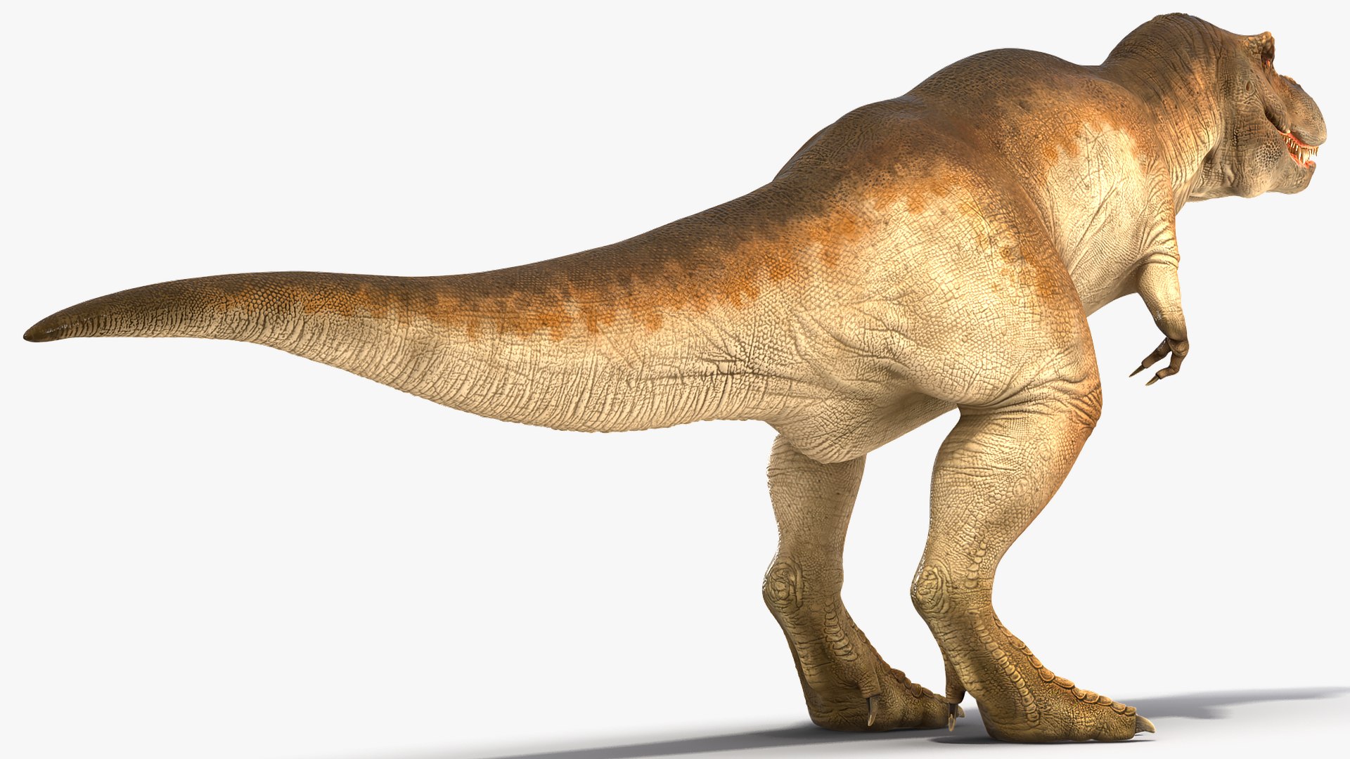 tyrannosaurus rex eating animal 3D https://p.turbosquid.com/ts-thumb/qW/Vc6YlM/LSxdaxy8/animatedtyrannosaurusrexeatingriggedvray3dmodel004/jpg/1570651403/1920x1080/fit_q87/e08f2d1c12aa5a87f866234a98e1e4b0601dc71b/animatedtyrannosaurusrexeatingriggedvray3dmodel004.jpg