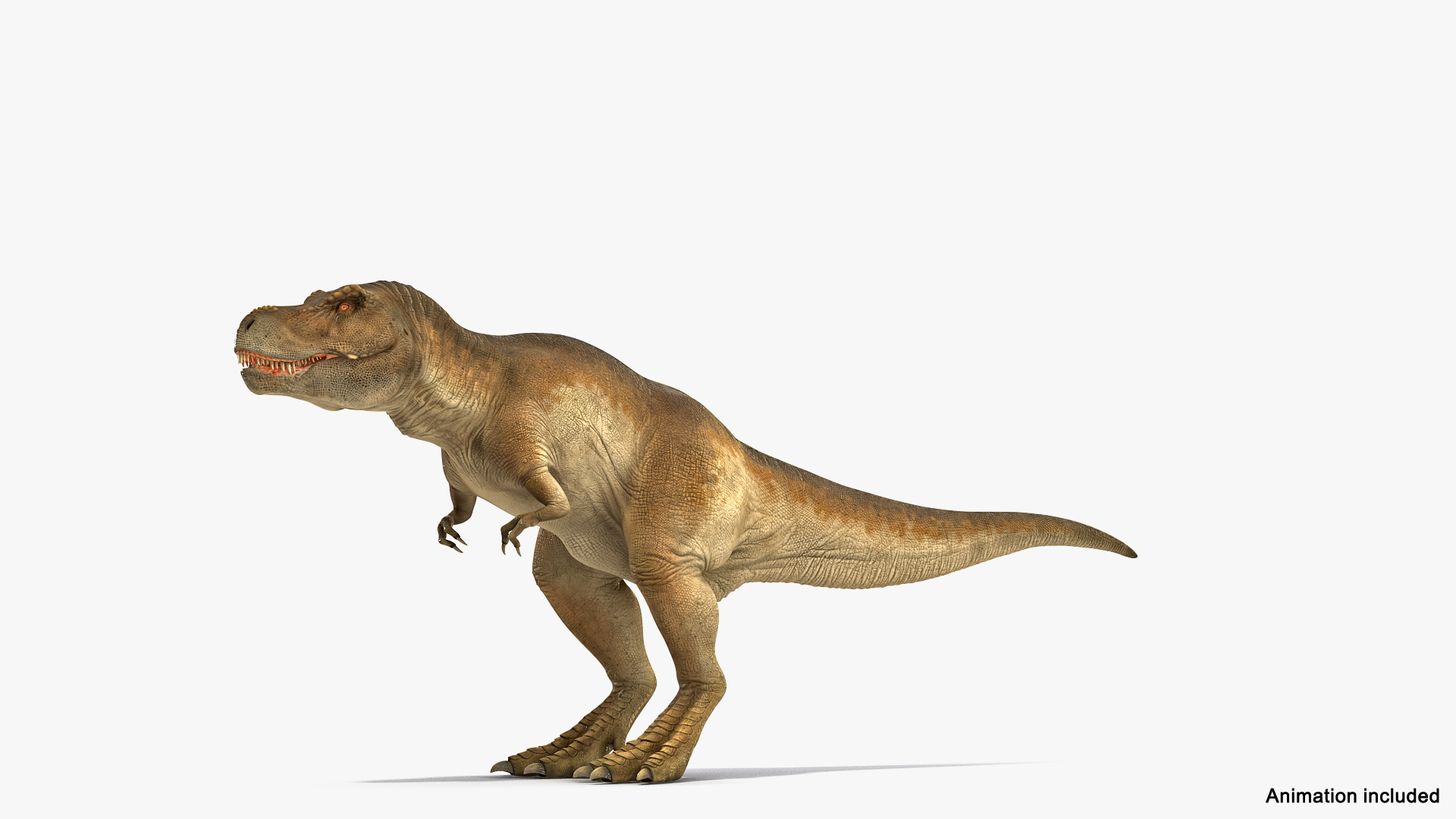 tyrannosaurus rex eating animal 3D https://p.turbosquid.com/ts-thumb/qW/Vc6YlM/M5fYamqt/animated_tyrannosaurus_rex_eating_rigged_360/jpg/1570650785/1920x1080/turn_fit_q99/1970ab017d8e0024c73f74060201aa93f115a66e/animated_tyrannosaurus_rex_eating_rigged_360-1.jpg