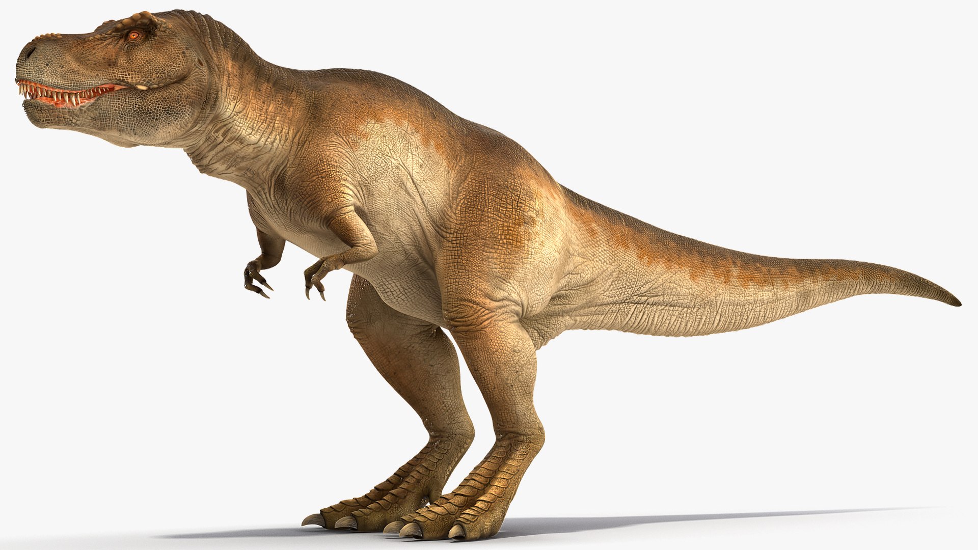 tyrannosaurus rex eating animal 3D https://p.turbosquid.com/ts-thumb/qW/Vc6YlM/QMAIApHa/animatedtyrannosaurusrexeatingriggedvray3dmodel003/jpg/1570651398/1920x1080/fit_q87/ebf12611bc0bae5287797bd0583e12f08e9eccde/animatedtyrannosaurusrexeatingriggedvray3dmodel003.jpg