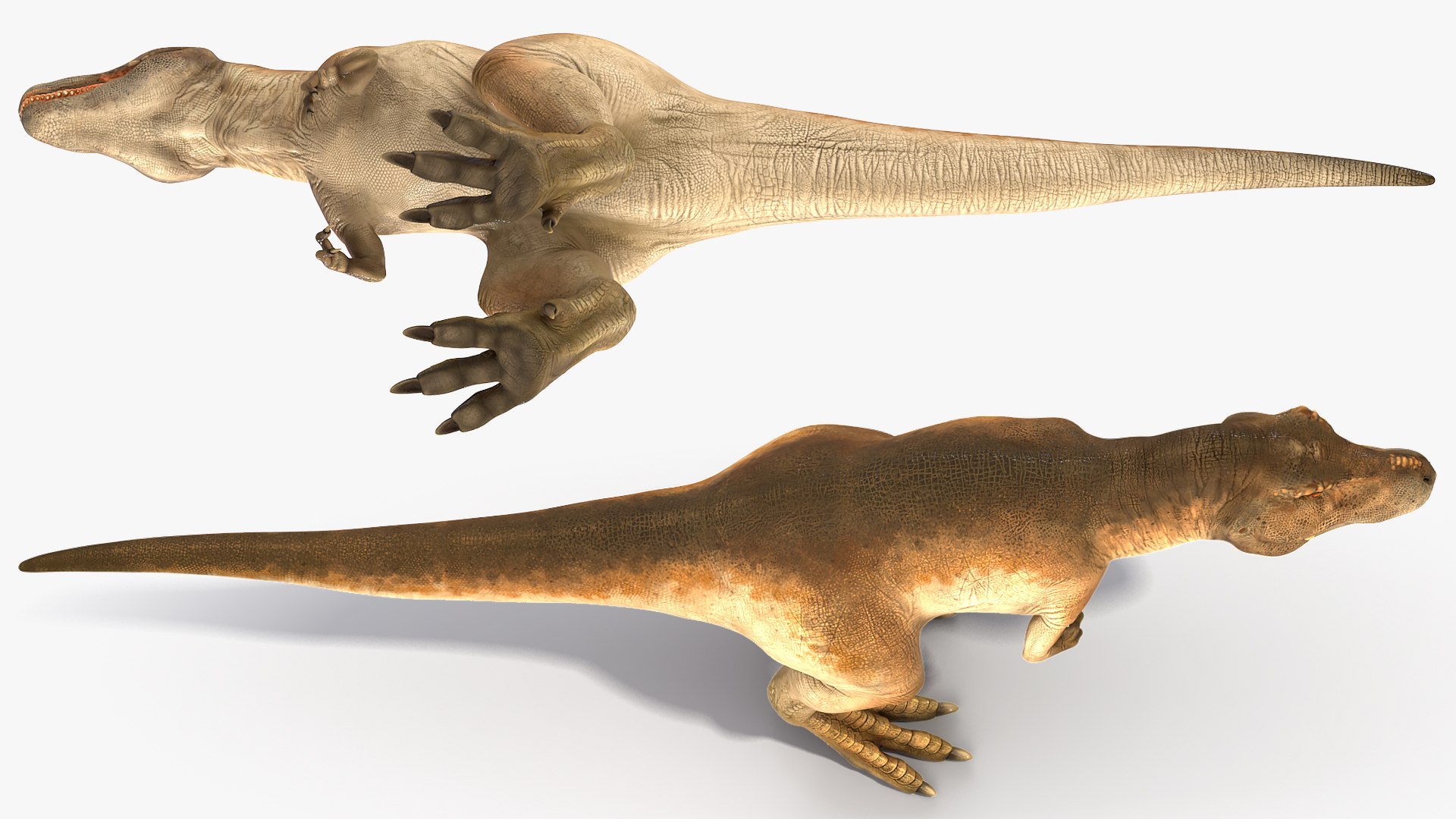 tyrannosaurus rex eating animal 3D https://p.turbosquid.com/ts-thumb/qW/Vc6YlM/X0uNOso9/animatedtyrannosaurusrexeatingriggedvray3dmodel008/jpg/1570651422/1920x1080/fit_q87/bd3215f502446466dbc8a66e77b5a99c97be92ec/animatedtyrannosaurusrexeatingriggedvray3dmodel008.jpg