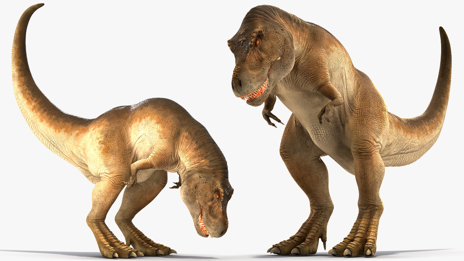 tyrannosaurus rex eating animal 3D https://p.turbosquid.com/ts-thumb/qW/Vc6YlM/uB09xqR3/animatedtyrannosaurusrexeatingriggedvray3dmodel006/jpg/1570651412/1920x1080/fit_q87/bb891756243c3481ff88b0e8d3d076936e091fec/animatedtyrannosaurusrexeatingriggedvray3dmodel006.jpg