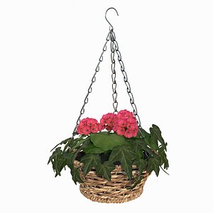 hanging basket plant model