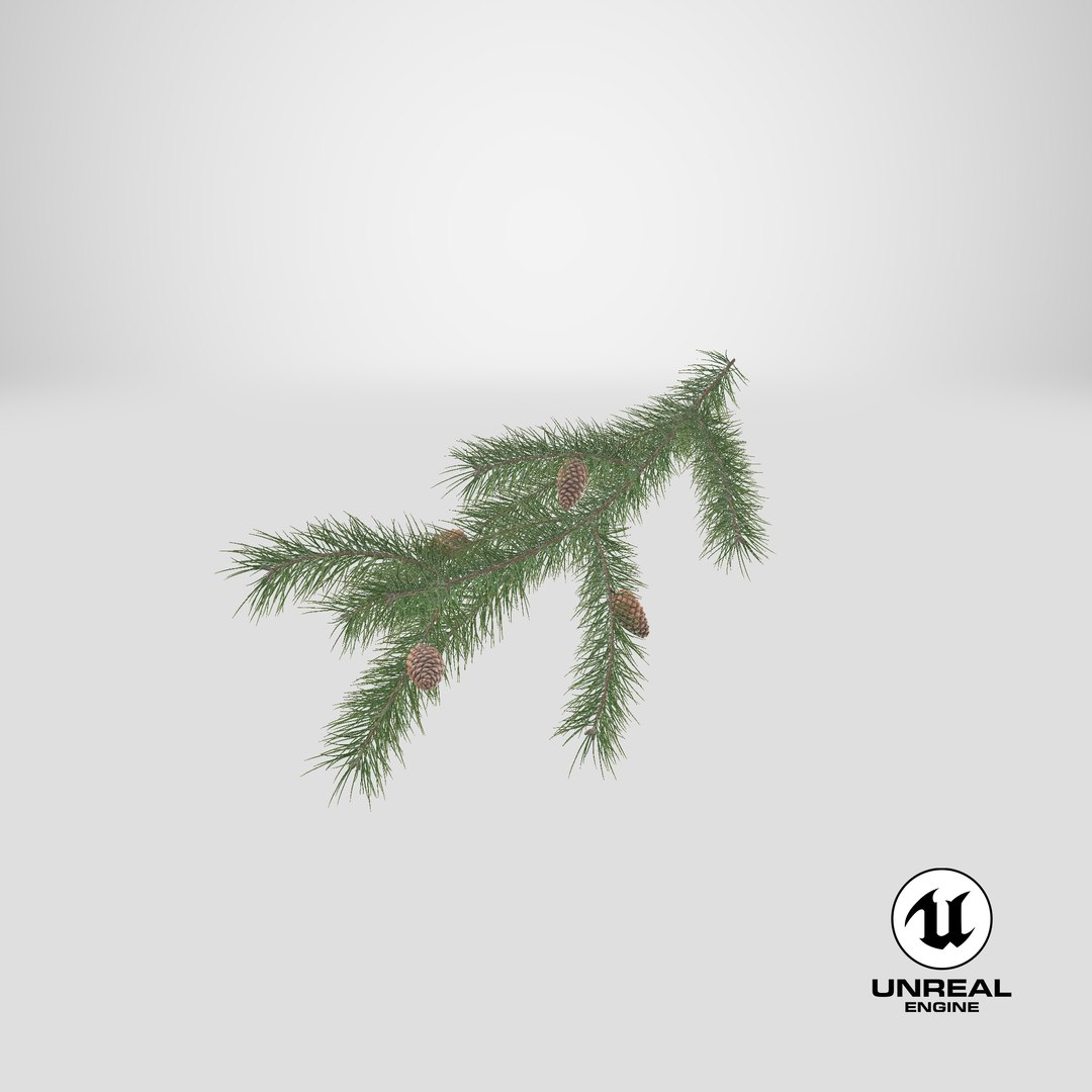 pine branch cones 3D model https://p.turbosquid.com/ts-thumb/qW/ZURBJu/1P/stemcell_unreal_render/png/1648454106/1920x1080/fit_q87/ee439b96f9f7f3e6417777a7ac6fdb5efaf44cac/stemcell_unreal_render.jpg