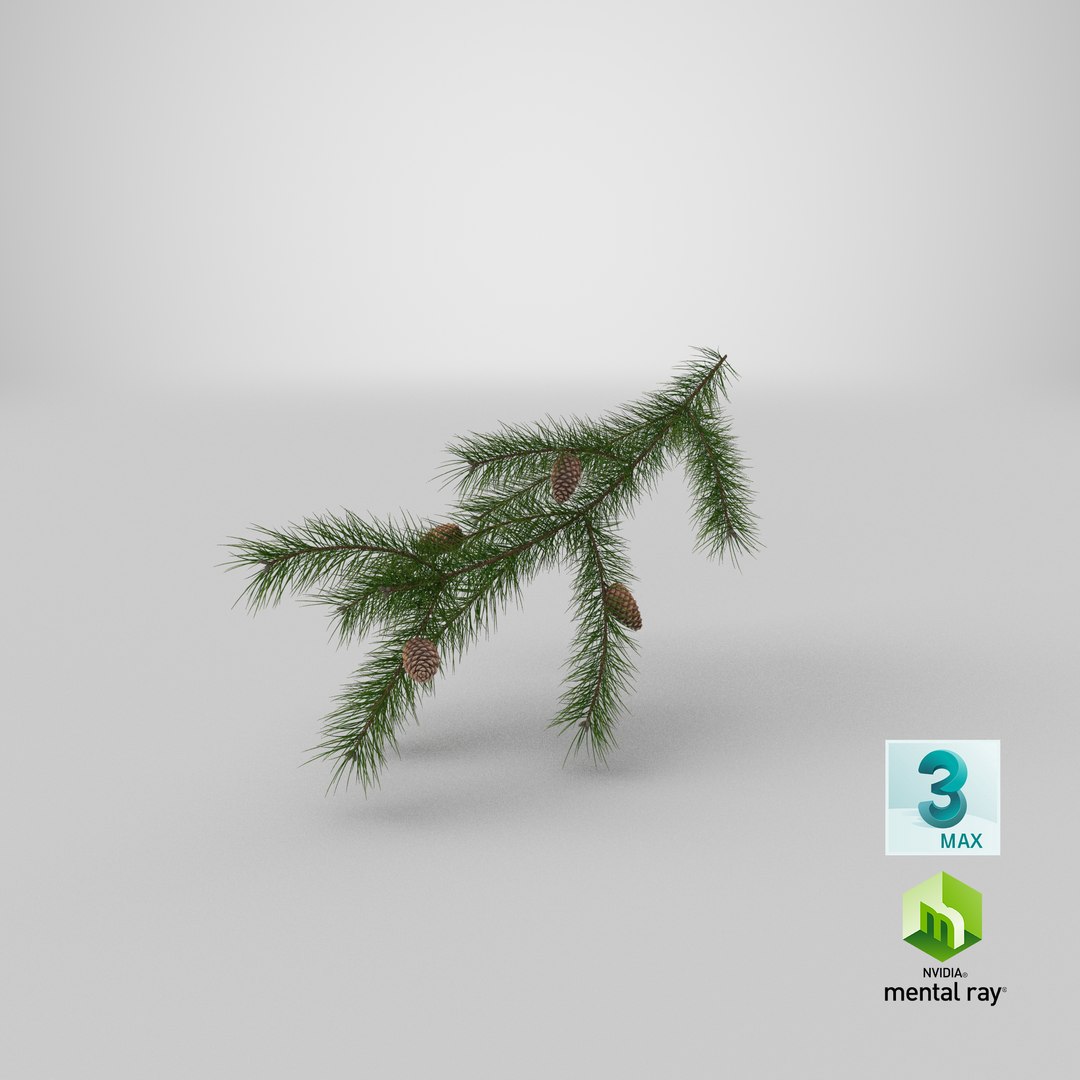 pine branch cones 3D model https://p.turbosquid.com/ts-thumb/qW/ZURBJu/2V/stemcell_max_mental_ray_render/png/1648454110/1920x1080/fit_q87/741a742931b93679dbeccc7999404c6c80ccbfbc/stemcell_max_mental_ray_render.jpg