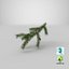 pine branch cones 3D model