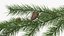Pine Branch with Cones