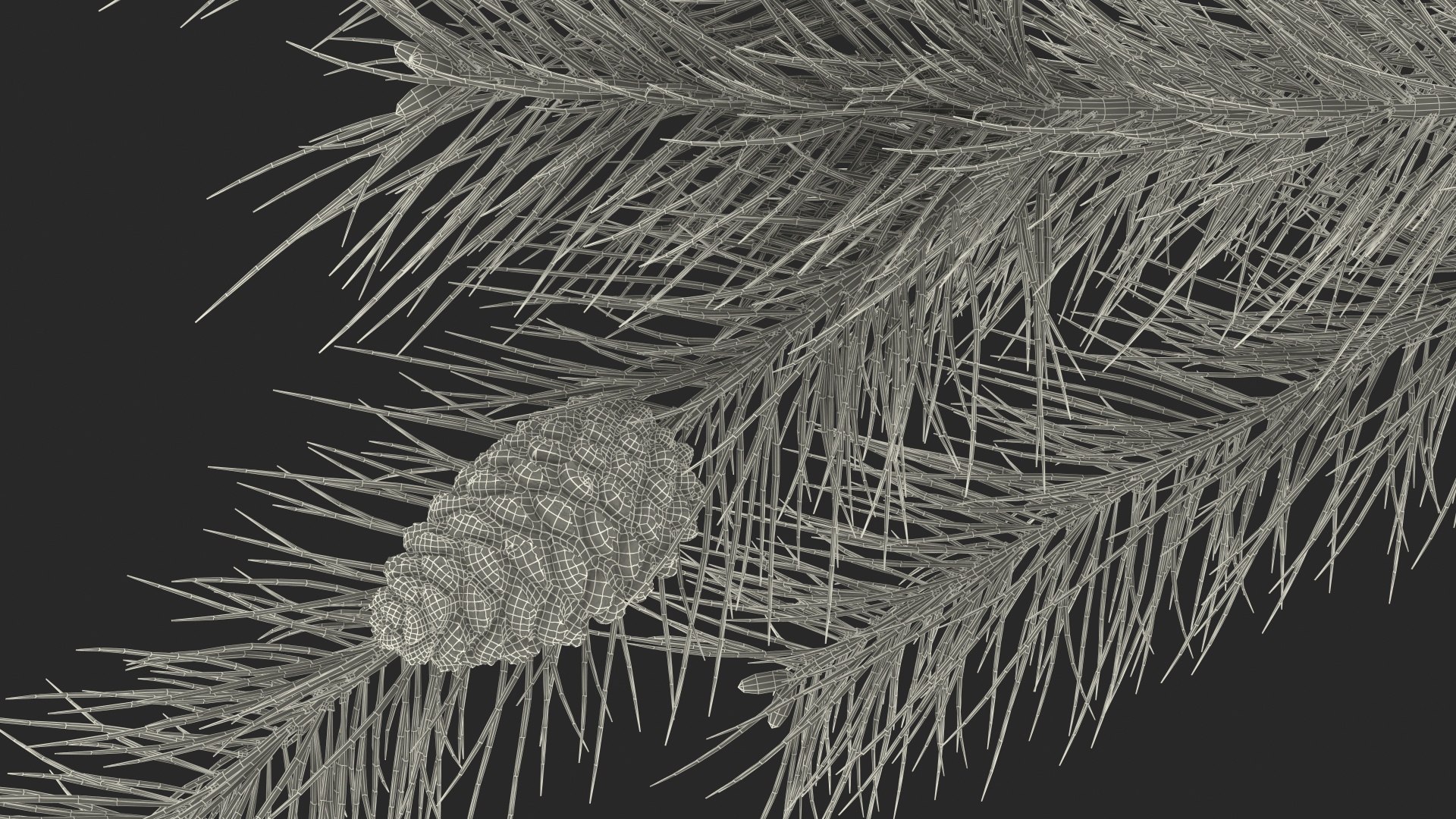 pine branch cones 3D model https://p.turbosquid.com/ts-thumb/qW/ZURBJu/NBhA4IWO/pinebranchwithconesmb3dmodel021/jpg/1565597649/1920x1080/fit_q87/6816ef056ee408db9f33592829414d0ffb0c062c/pinebranchwithconesmb3dmodel021.jpg