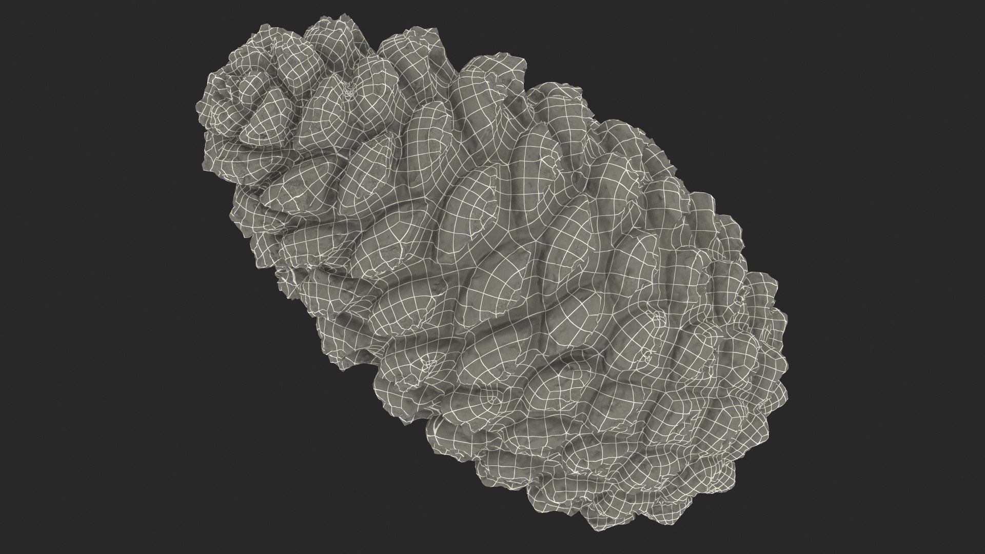 pine branch cones 3D model https://p.turbosquid.com/ts-thumb/qW/ZURBJu/OXau00Mw/pinebranchwithconesmb3dmodel023/jpg/1565597658/1920x1080/fit_q87/d80271c03c92c58dd2c46a98733807edae6f5676/pinebranchwithconesmb3dmodel023.jpg