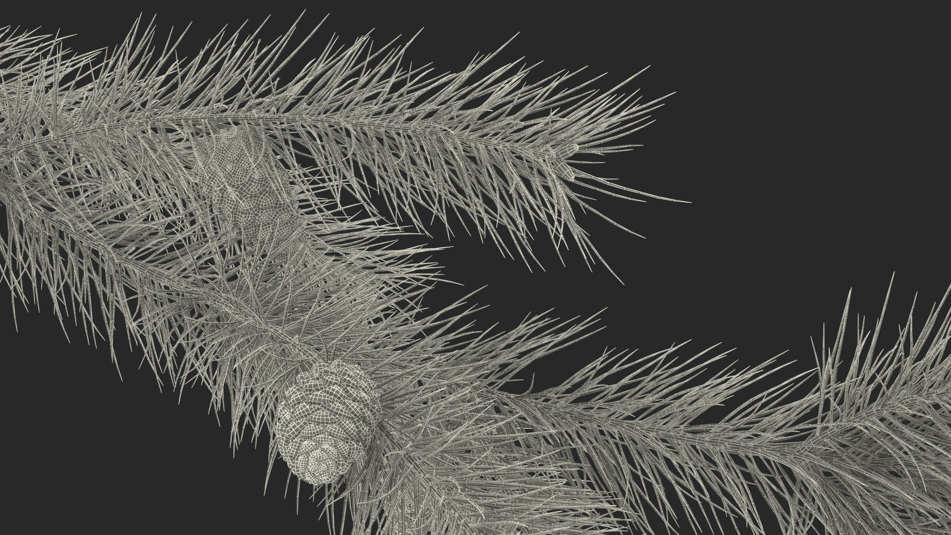 pine branch cones 3D model https://p.turbosquid.com/ts-thumb/qW/ZURBJu/TRR1TIlq/pinebranchwithconesmb3dmodel022/jpg/1565597654/1920x1080/fit_q87/86c8806d76f5979ed18871d6a428f12d5aaab093/pinebranchwithconesmb3dmodel022.jpg