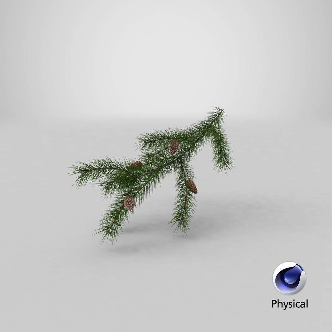 Frosted-pine-cones---01 3D model - TurboSquid 1362571