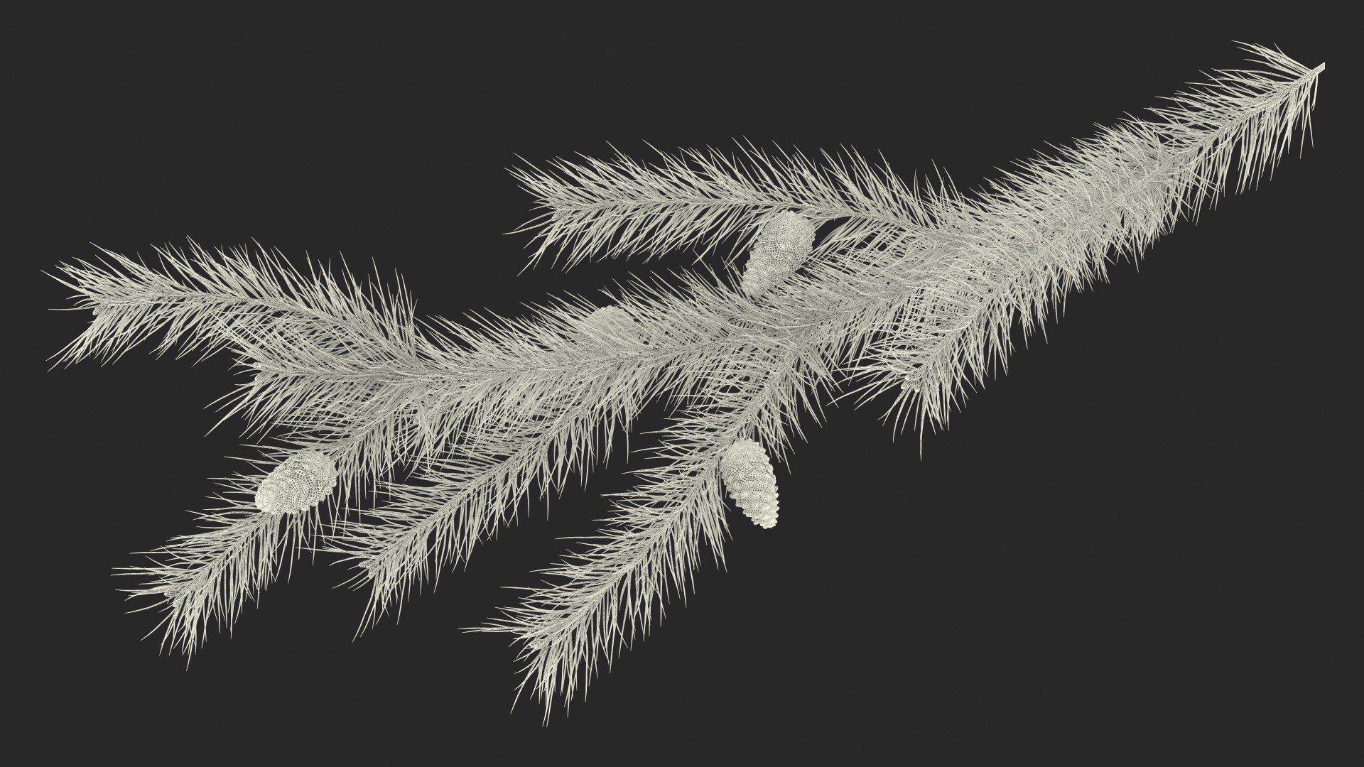 pine branch cones 3D model https://p.turbosquid.com/ts-thumb/qW/ZURBJu/gSInazCD/pinebranchwithconesmb3dmodel020/jpg/1565597645/1920x1080/fit_q87/2d9aafd05bb0fa8f8bc5a656ca85aa47ed8b8566/pinebranchwithconesmb3dmodel020.jpg