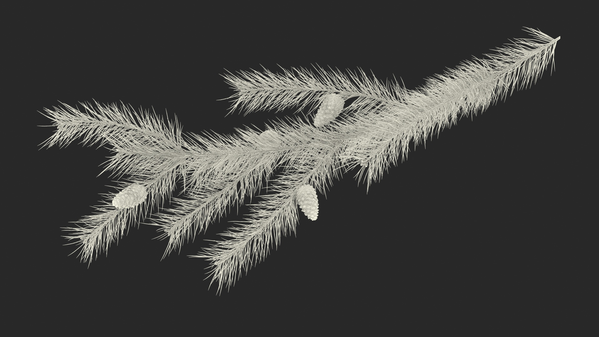 pine branch cones 3D model https://p.turbosquid.com/ts-thumb/qW/ZURBJu/imEwtndP/pine_branch_with_cones_361/jpg/1565597029/1920x1080/turn_fit_q99/de444da0a1ad741eb86f9b8e6022714fb0bc9559/pine_branch_with_cones_361-1.jpg